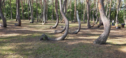 Mieszkanie Sprzedaż Nowe Czarnowo