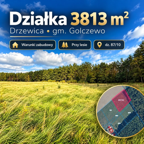 Działka Sprzedaż Drzewica 1