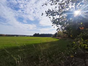 Działka Sprzedaż Grabowo
