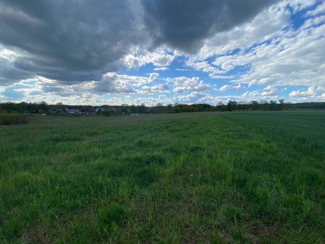 Działka Sprzedaż Rogowo 4