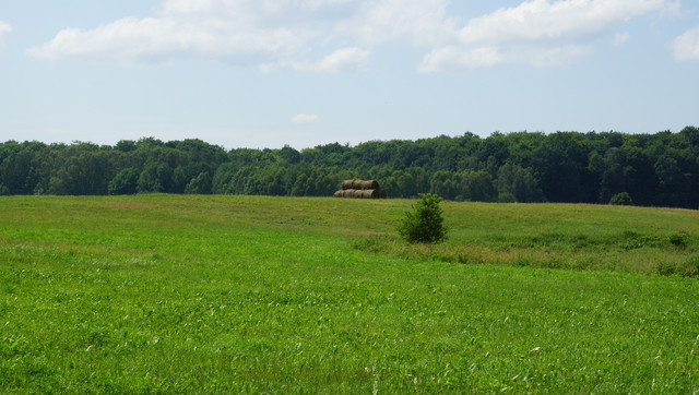 Działka Sprzedaż Bobolice 3