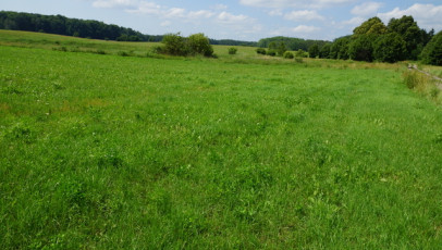 Działka Sprzedaż Bobolice