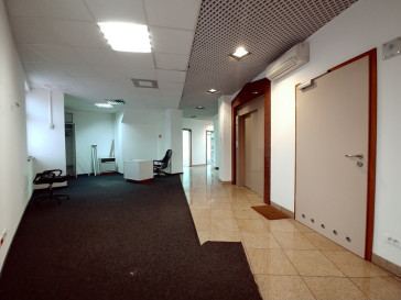 Lokal Wynajem Szczecin Centrum