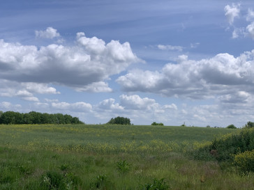 Działka Sprzedaż Stobno Pod Dębami