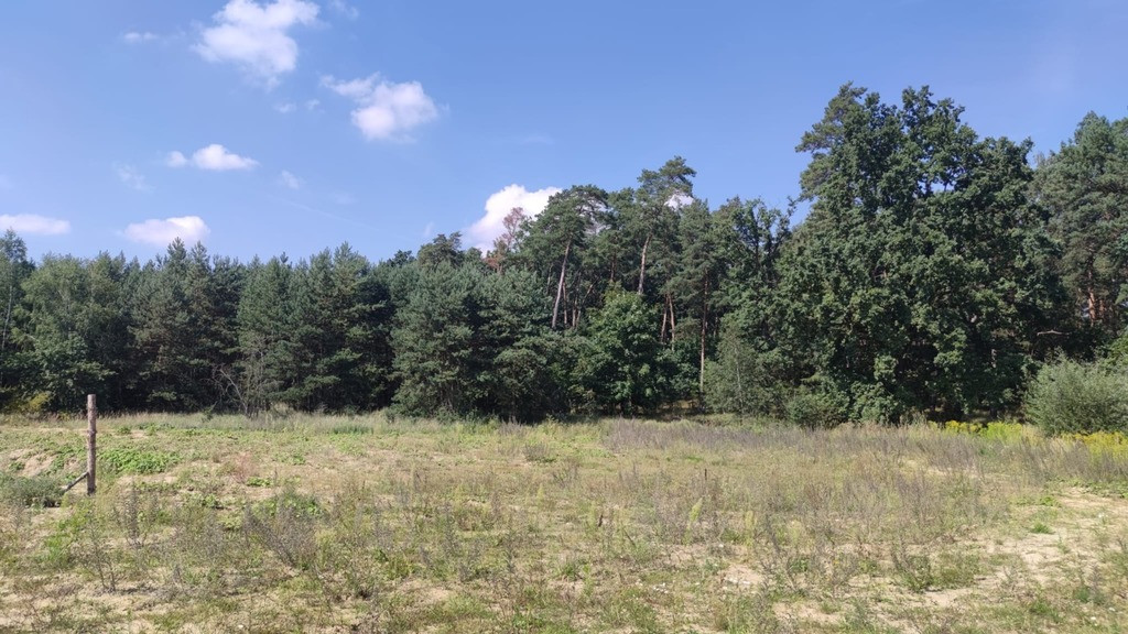 Działka Sprzedaż Kościno