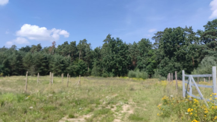 Działka Sprzedaż Kościno 3
