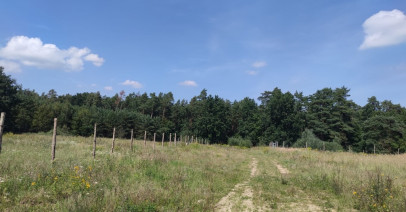 Działka Sprzedaż Kościno