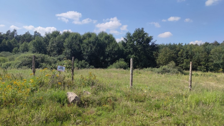 Działka Sprzedaż Kościno 5