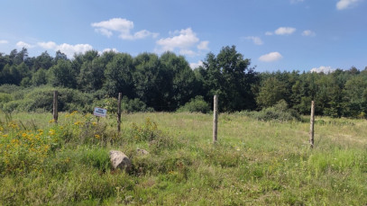 Działka Sprzedaż Kościno