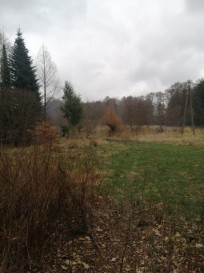 Działka Sprzedaż Stawno