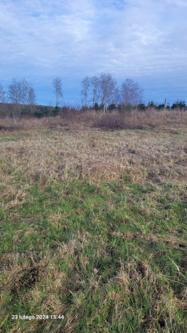 Działka Sprzedaż Zieleniewo 4