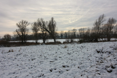 Dom Sprzedaż Sulimierz